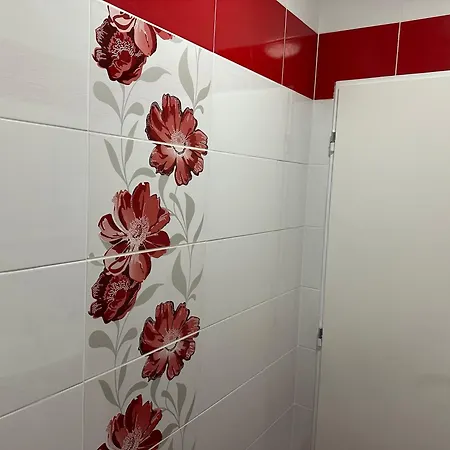 Apartment Penzion Sokolov